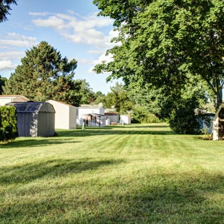 View of back yards